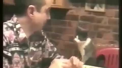 Sharing food with the cat