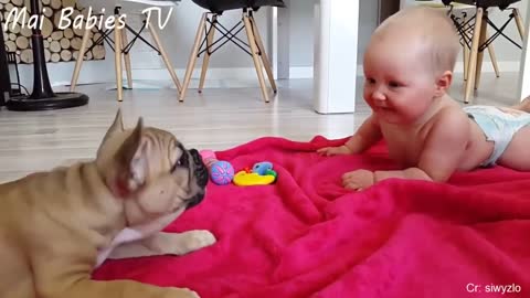 Babies Laughing Hysterically At Dog Compilation