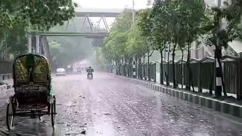 romantic beautiful rain videos shots
