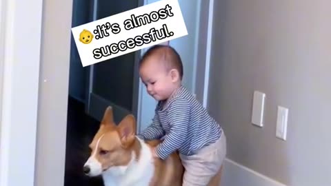 Funny baby and cute dog