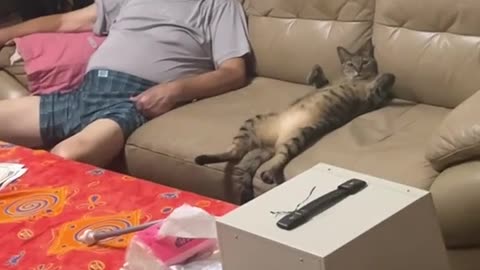 Cat Hangs Out Belly-Up With Grandpa