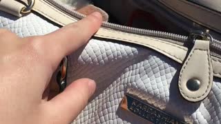 White animal hides in tan purse