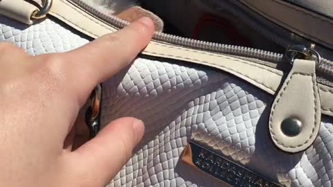 White animal hides in tan purse