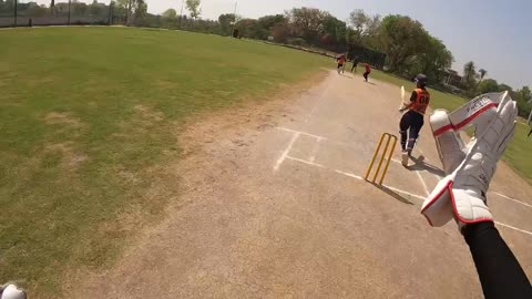 GOPROCRICKET LBW OUT OR NOT?