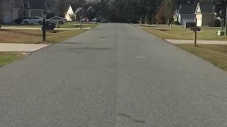 Man Makes Huge Leap Over Road