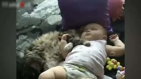 Best Of Funny Cats And Dogs Love Babies Compilation