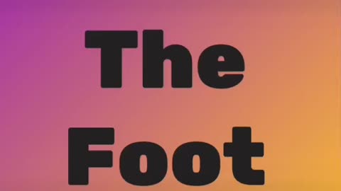 The Foot