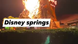 Disney springs