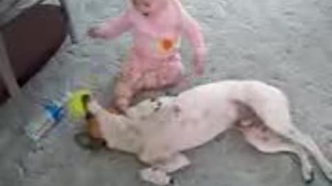 Dogs and Baby