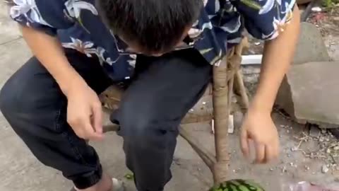 A story of watermelon funny video🤣🤣