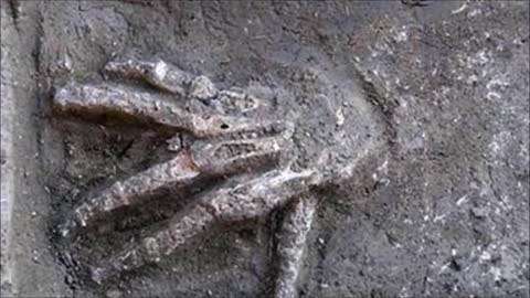 3600 Year Old Pits Full Of Giant Hands Were Discovered In Egypt