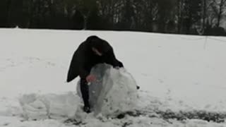 Guy steps on giant snowball, breaks it in half, and falls down
