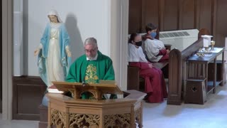 Seventh Sunday After Pentecost - Homily