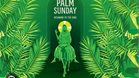 Post palm 🌴 Sunday 2024 day after