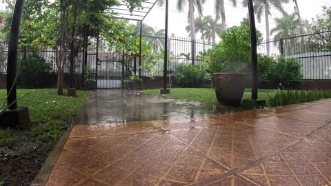 Afternoon Rain on the Front Lawn 🇳🇮 Nicaragua