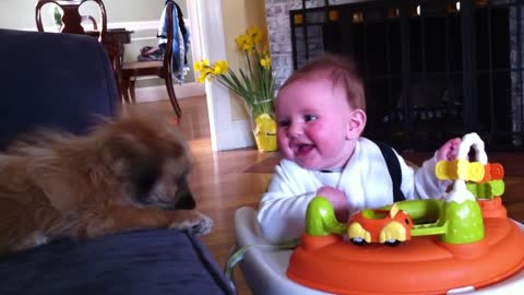 baby laughing at puppy