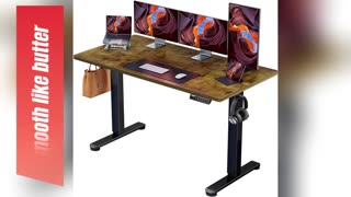 ErGear Height Adjustable Electric Standing Desk