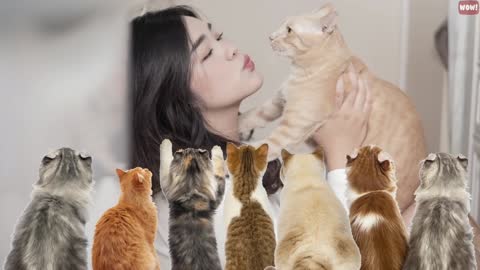 10 Scientific Ways to Get a Cat to Like You...It Works!!