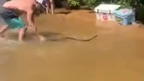 Friends on a Lake Visited by Large Water Snake