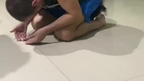 dad play with kitten