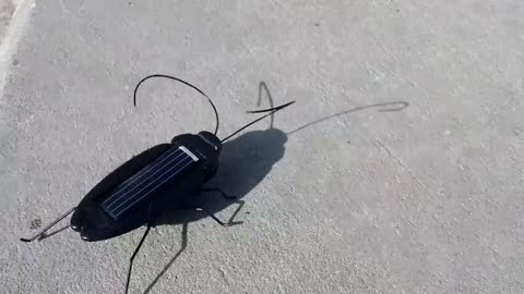 Mini robot bug
