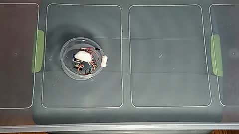 Magnetic Boat with Servo Turning Side to Side Quickly