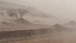 Saudi Arabia: The desert turned literally into a sea near Mecca