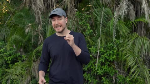 Mr Beast Powered a village in Africa