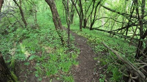 🌳 #Traveling Through The Greenbelt Trails In Ottawa, Ontario 🛶