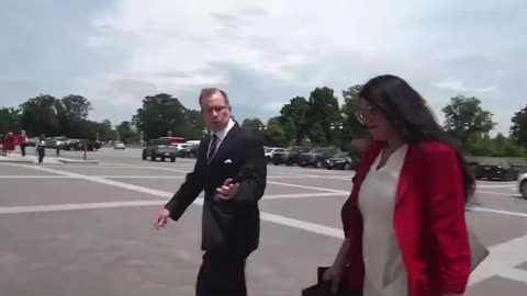 Rashida Tlaib Staffer Assaults Fox Reporter