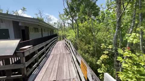 JEAN LAFITTE BARATARIA PRESERVE LOUISIANA USA