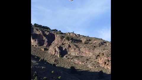 Roland paragliding
