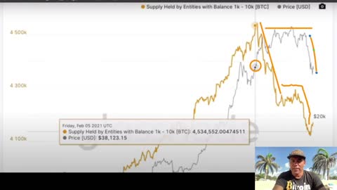 INSANE!😱 BITCOIN IT IS A WHALES WORLD AND THEY JUST CONFIRM THE NEXT MOVE⤵️⤴️〽️