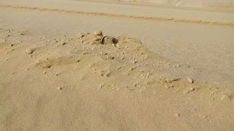 Watching the sand at the U.A.E. desert 🇦🇪 (2019-12)