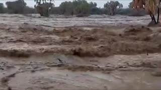 In Saudi Arabia, continuous rain has caused danger and even the desert is flooded