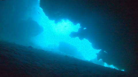 Coral reef and water plants in the Red Sea, Dahab, blue lagoon Sinai Egypt 15