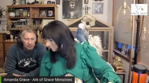 ARK OF GRACE: Amanda Grace Talks...AND THE NEW SANCTUARY RESIDENT IS...........!!!!