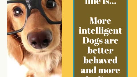Develops your Dog's "Hidden Intelligence"