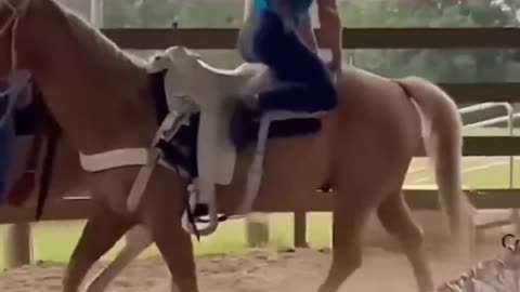 The Horse clearly feels it.