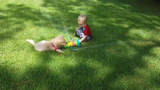 Sprinkler fun for toddler and puppy