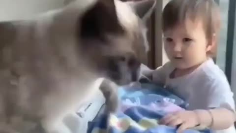 Funny time pass baby and her cat