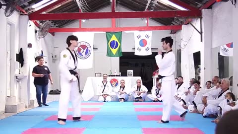 Hapkido