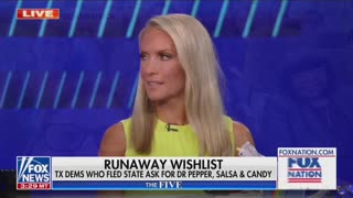 Dana Perino mocks fugitive Texas Democrats