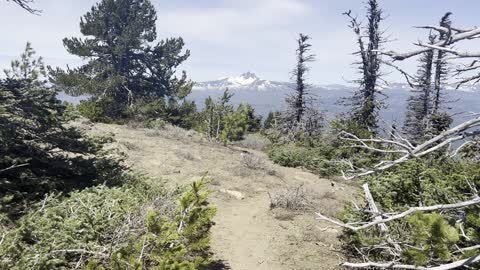 The Black Butte Summit Zone – Deschutes National Forest – Central Oregon – 4K