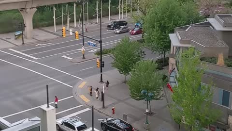 Canadians Patiently Wait for Crossing Ducklings