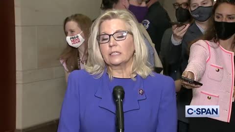 Liz Cheney Says She Will Do Everything She Can To Keep Trump Out Of The Oval Office