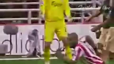 THE BEST FUNNY FOOTBALL