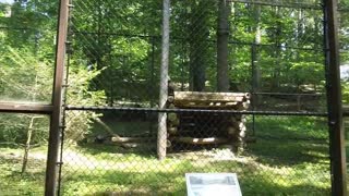 West Virginia wildlife center