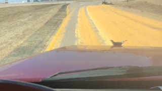 Semi Truck Spills Corn Load onto Highway