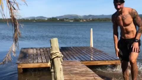 Dog Trips Friend Running onto Pier